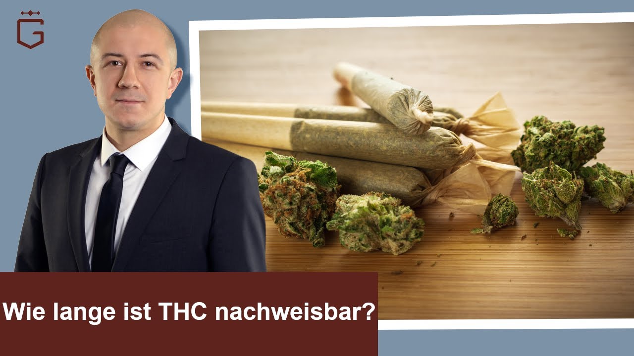 Wie Lange Ist Cannabis Im Urin Nachweisbar Global 420 Cannabis